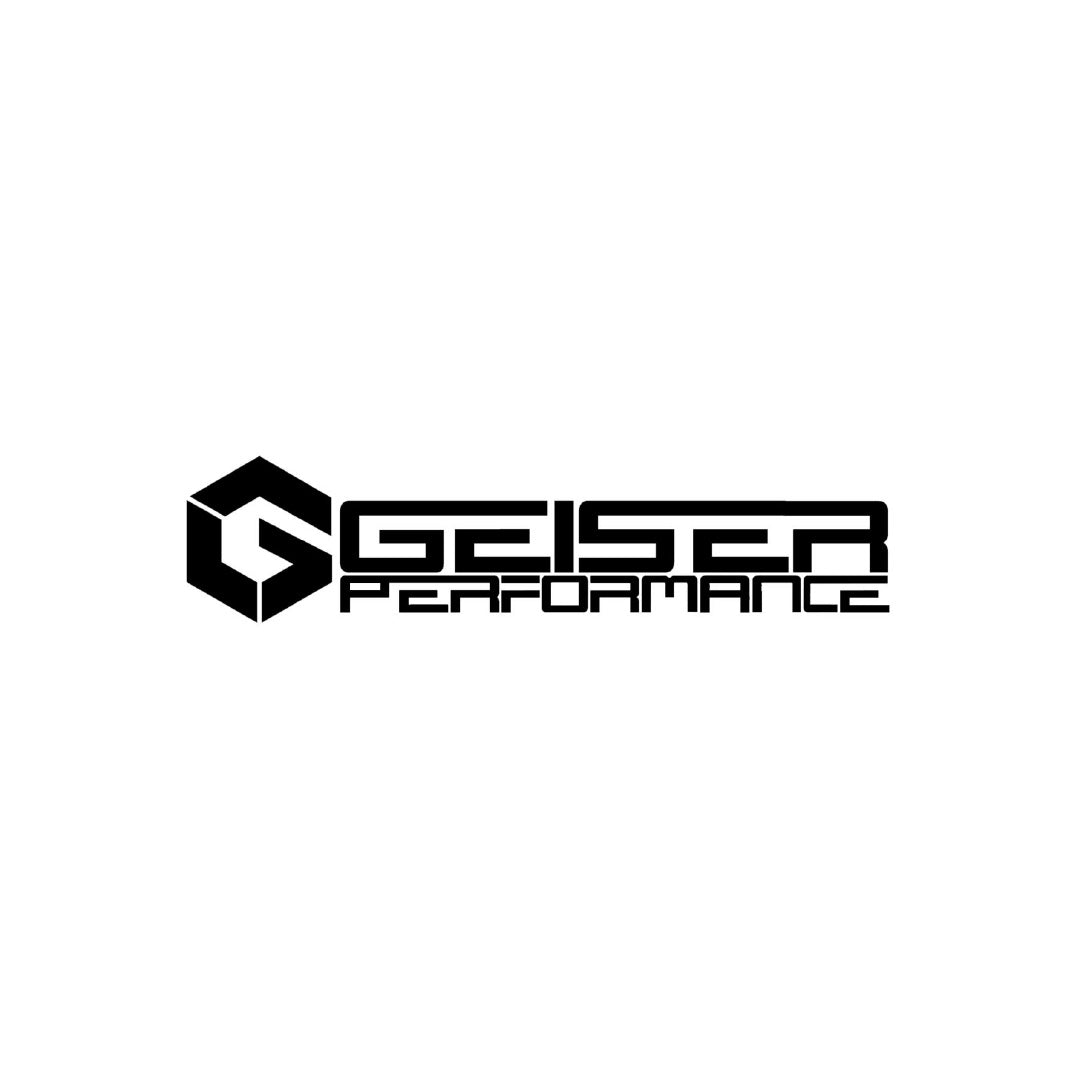 Geiser Performance