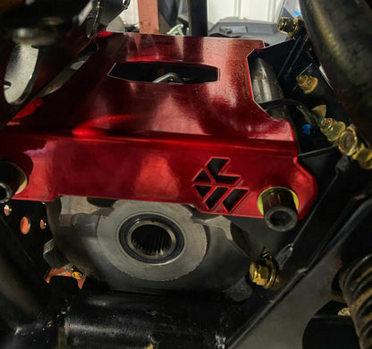 Polaris RZR RS1 Differential Plate L&W Fab