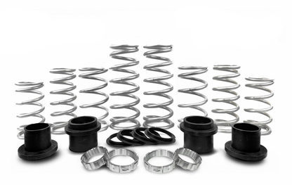 Polaris RZR Pro R Spring Kit | MTS Off-Road